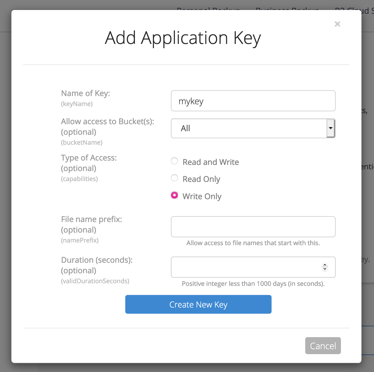 The “new application key” interface