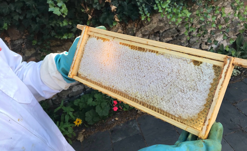 A super frame full of capped honey