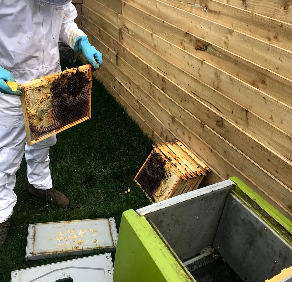 Swapping frames between the sides of the hive